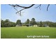37 Lyrebird Ridge Road, Springbrook QLD 4213
