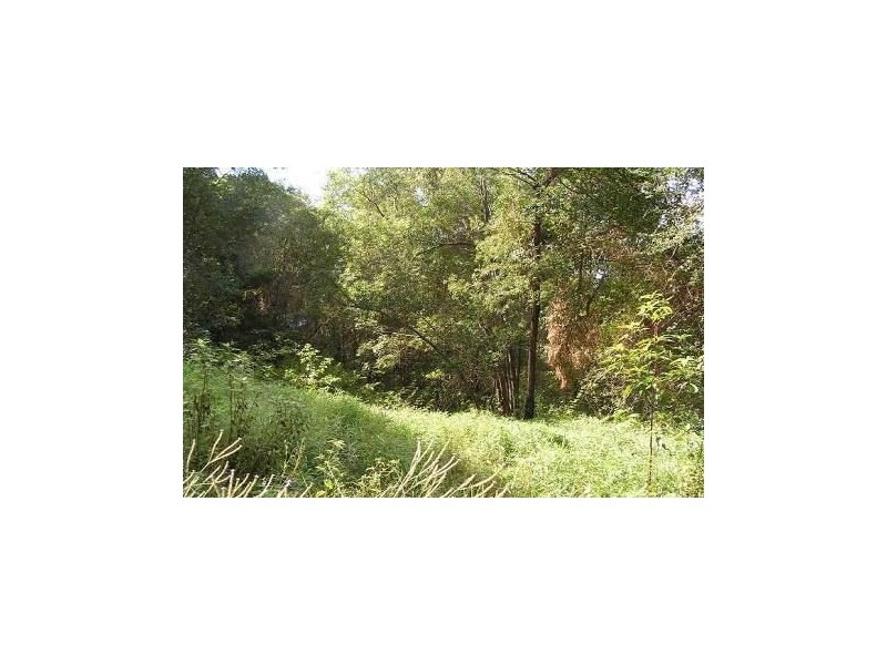 13 Bromfield Drive, Bonogin QLD 4213