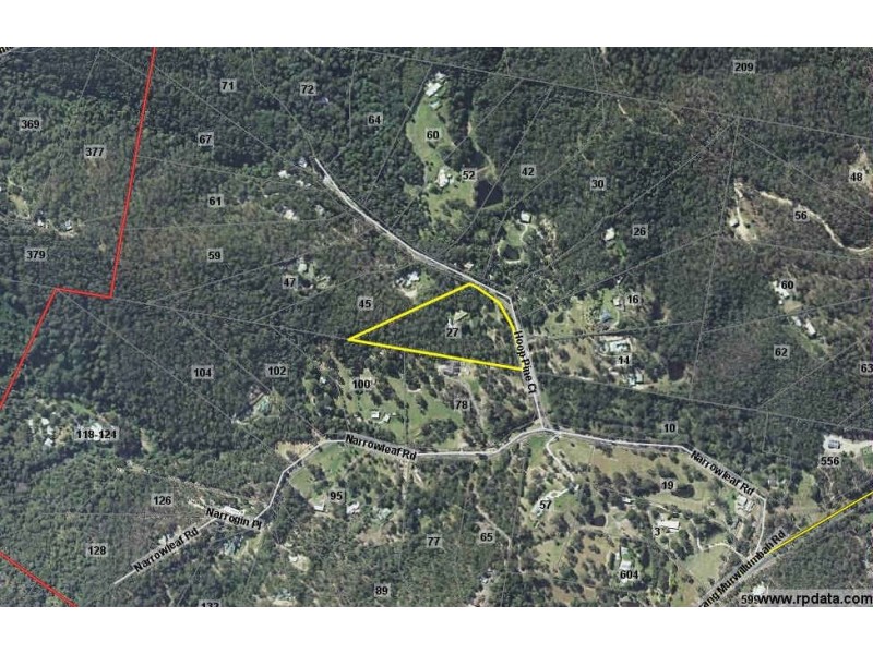 27 Hoop Pine Court, Advancetown QLD 4211