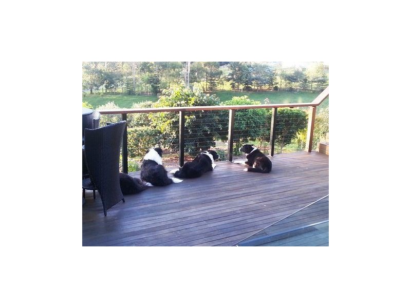 47 Tucker Lane, Canungra QLD 4275