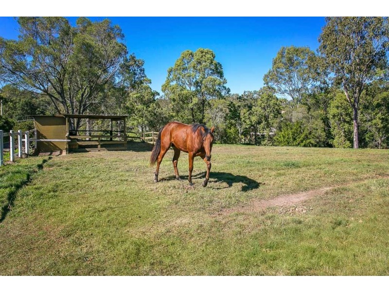 10 Baron Court, Tallai QLD 4213