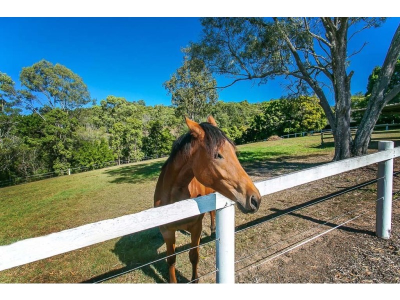 10 Baron Court, Tallai QLD 4213