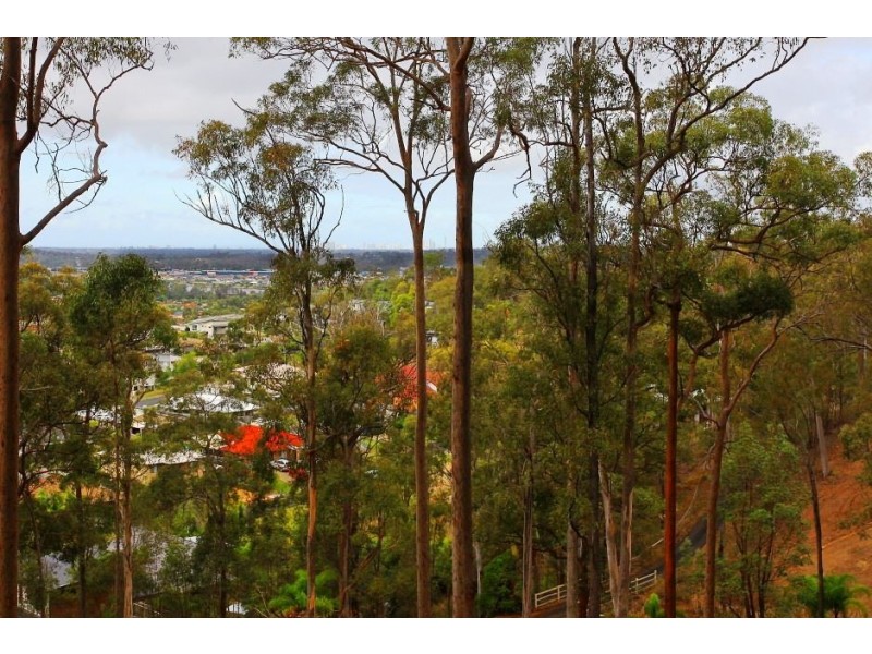 46 Gumtree Crescent, Upper Coomera QLD 4209
