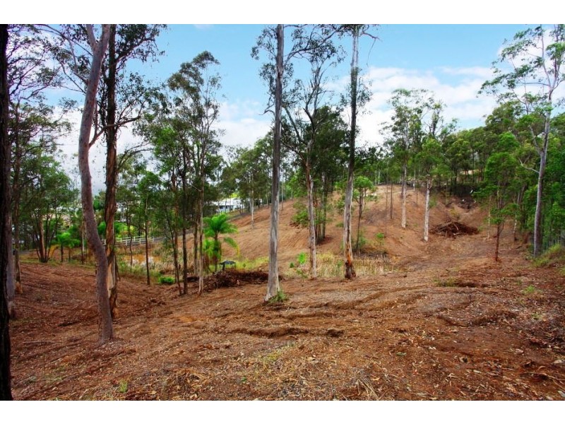 46 Gumtree Crescent, Upper Coomera QLD 4209