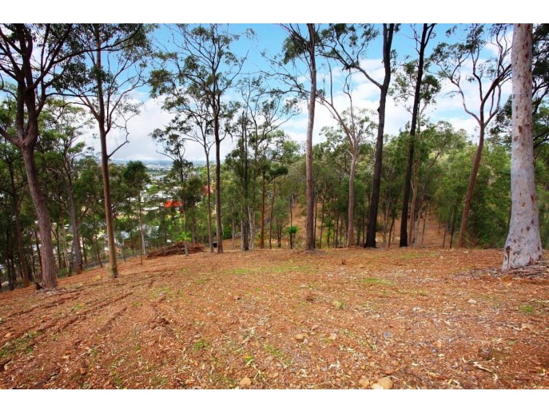 46 Gumtree Crescent, Upper Coomera QLD 4209