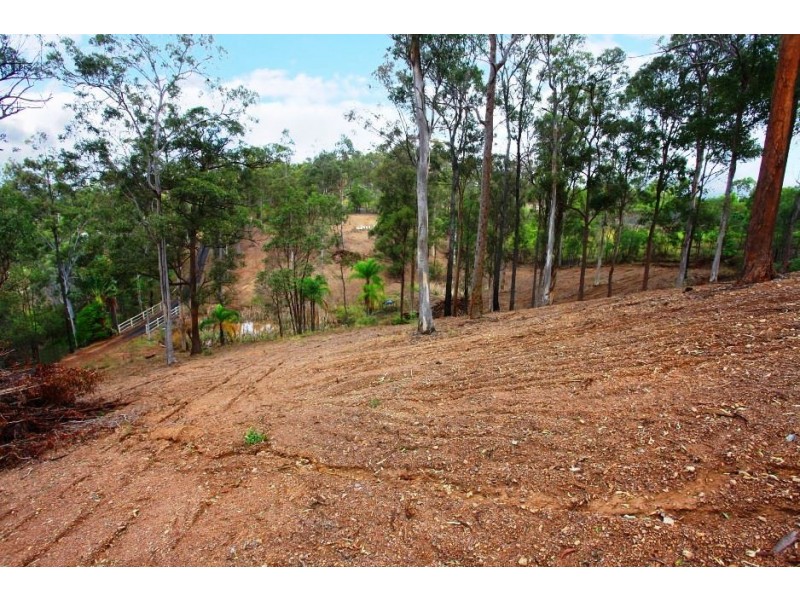 46 Gumtree Crescent, Upper Coomera QLD 4209