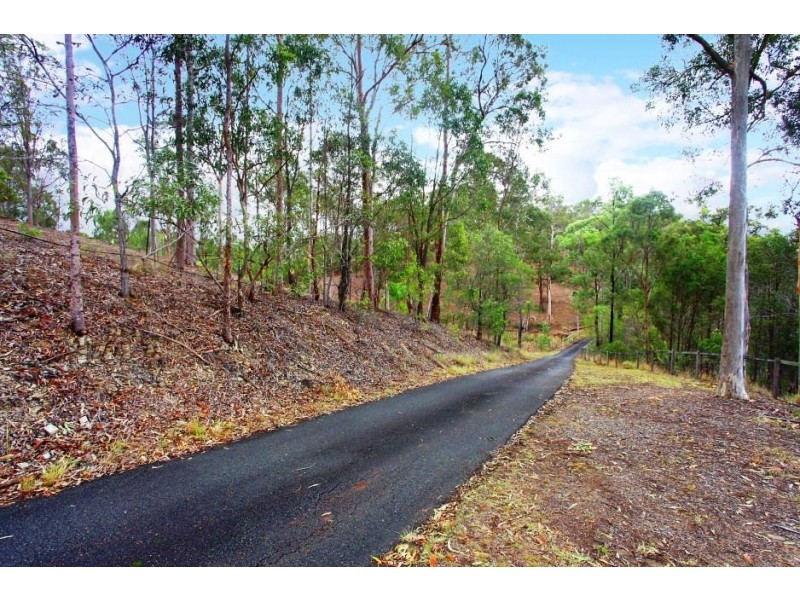 46 Gumtree Crescent, Upper Coomera QLD 4209