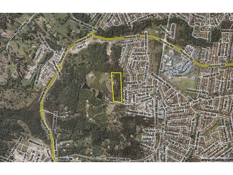 46 Gumtree Crescent, Upper Coomera QLD 4209