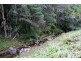 653 Bonogin Road, Bonogin QLD 4213