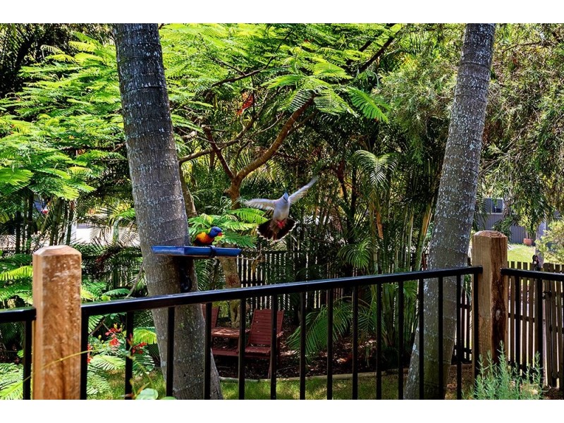 15 Woolmere Street, Carrara QLD 4211