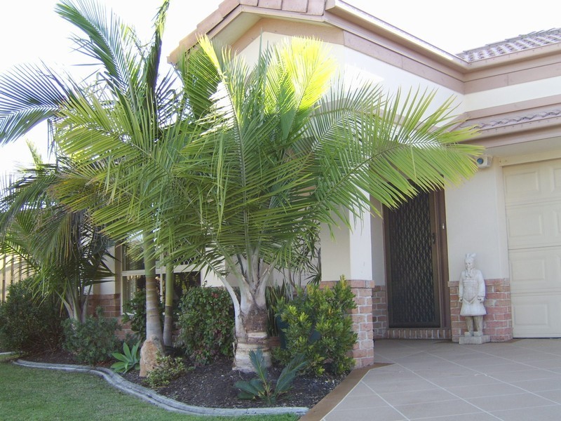 65 Lambour Drv, Mudgeeraba QLD 4213