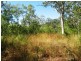 Bloomsbury QLD 4799