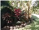 2  on RP711227 Ann, Proserpine QLD 4800