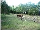 1  RP708170 Bates, Strathdickie QLD 4800