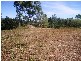 97 Midge Point road, Bloomsbury QLD 4799