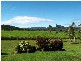 Strathdickie QLD 4800