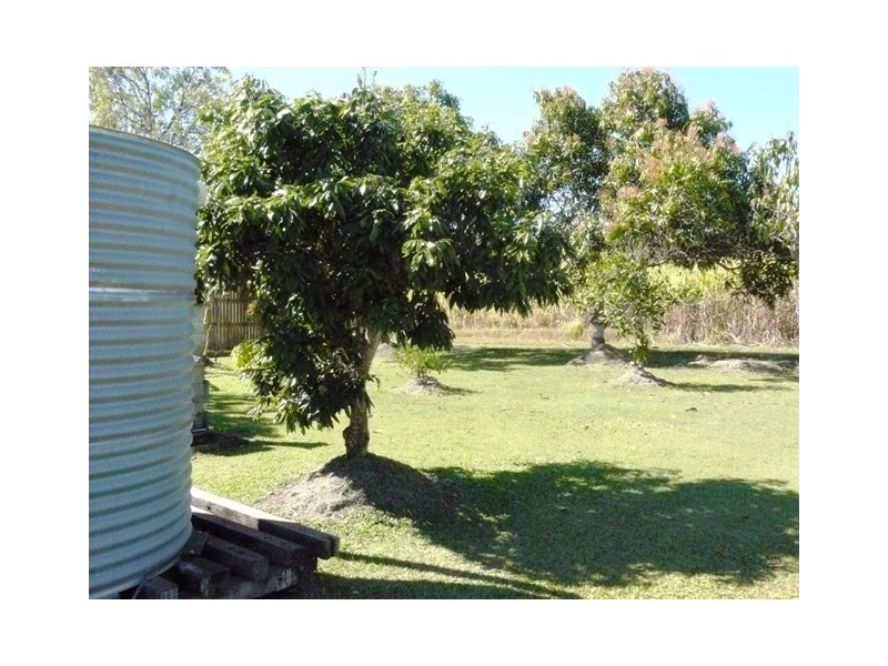 29 Mt.Charlton Road, Calen QLD 4798