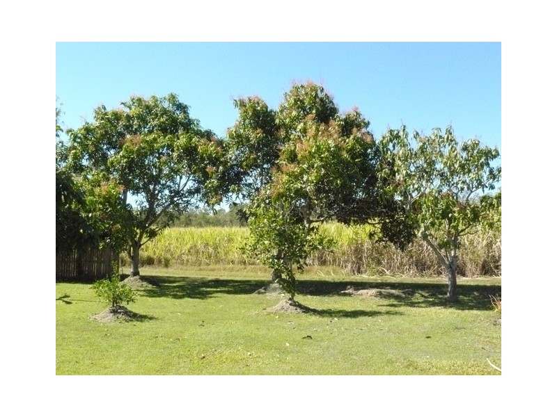 29 Mt.Charlton Road, Calen QLD 4798