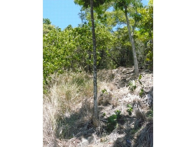 314 MANDALAY ROAD, Jubilee Pocket QLD 4802