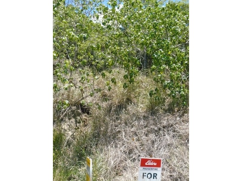 314 MANDALAY ROAD, Jubilee Pocket QLD 4802