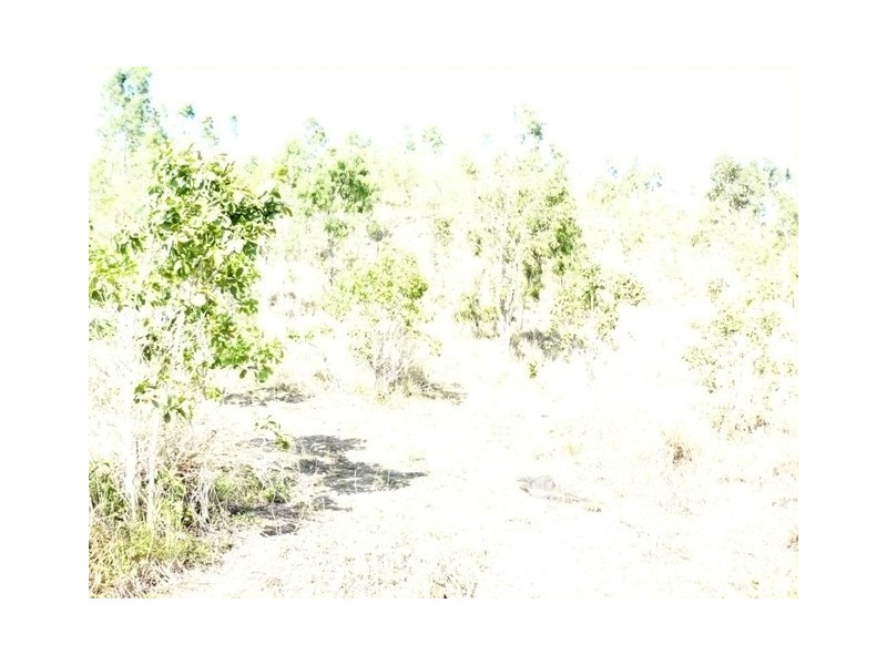 720 Maloney Road, Proserpine QLD 4800