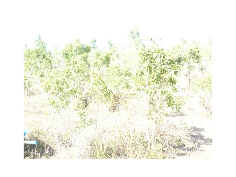 720 Maloney Road, Proserpine QLD 4800