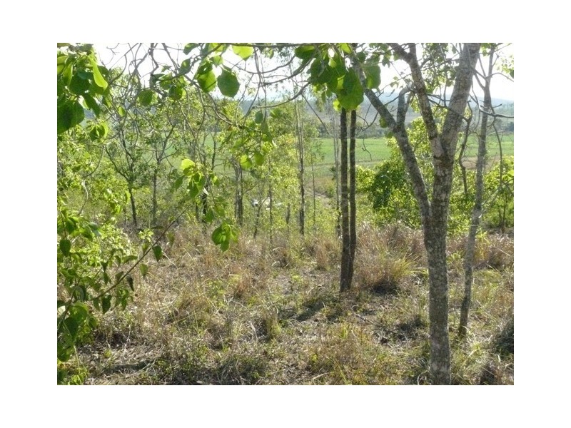 720 Maloney Road, Proserpine QLD 4800