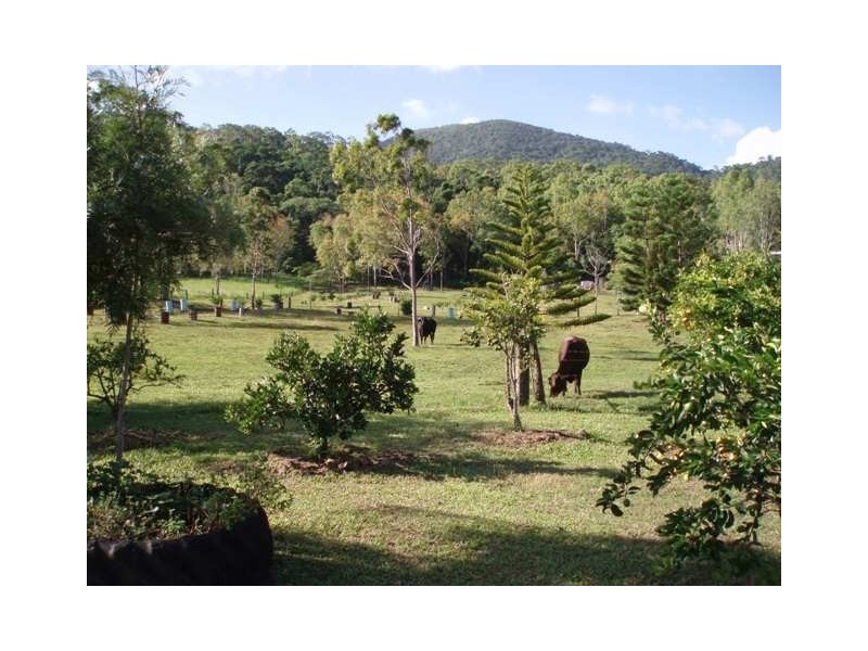 Conway QLD 4800
