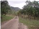 Conway QLD 4800