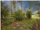 105 Taringa Parade, Indooroopilly QLD 4068