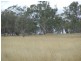 204 Huckers Rd, Spring Creek QLD 4361