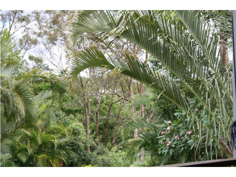 37 Fig Tree Pocket Rd, Chapel Hill QLD 4069