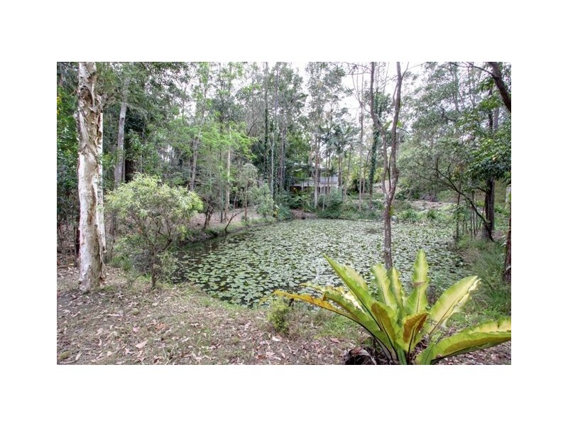 31 Airlie Rd, Pullenvale QLD 4069