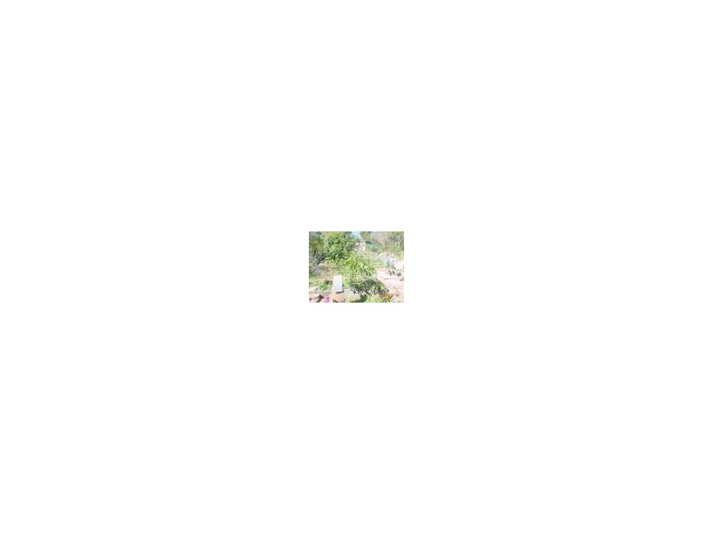 38 Newcomen St, Indooroopilly QLD 4068