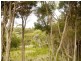 1 Rankins Road, Naracoopa TAS 7256
