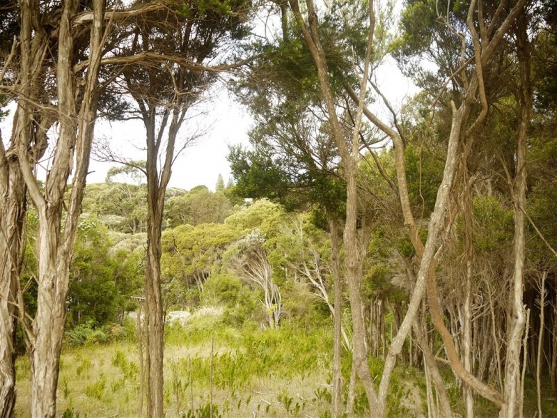 1 Rankins Road, Naracoopa TAS 7256