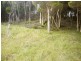 1 Rankins Road, Naracoopa TAS 7256