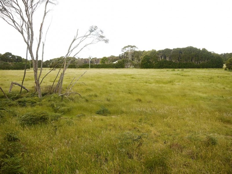 1 Rankins Road, Naracoopa TAS 7256