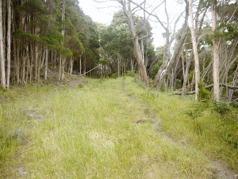 1 Rankins Road, Naracoopa TAS 7256