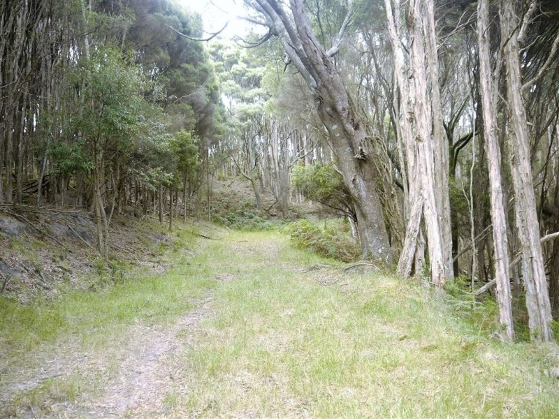 1 Rankins Road, Naracoopa TAS 7256