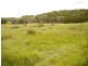 1 Rankins Road, Naracoopa TAS 7256