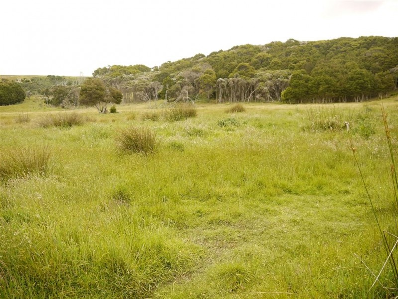 1 Rankins Road, Naracoopa TAS 7256