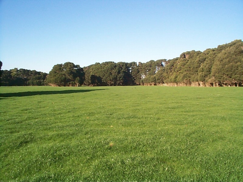 6b Rankins Road, Naracoopa TAS 7256