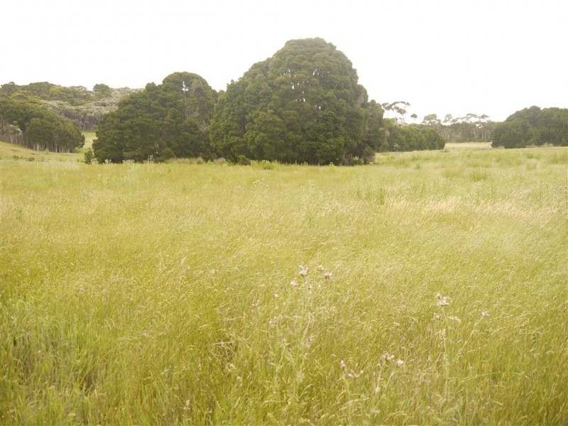 6b Rankins Road, Naracoopa TAS 7256