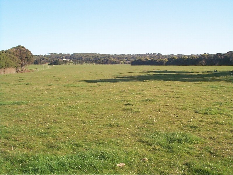 2350 Fraser Road, Naracoopa TAS 7256