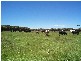 91 South Road, Currie TAS 7256
