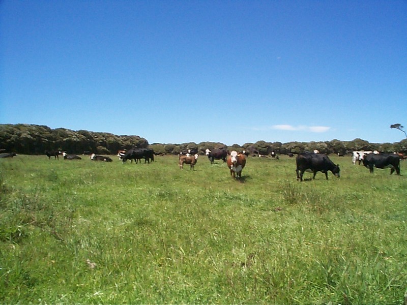 91 South Road, Currie TAS 7256