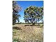 91 South Road, Currie TAS 7256