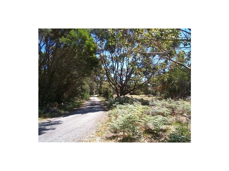 91 South Road, Currie TAS 7256