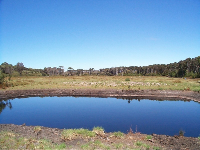 91 South Road, Currie TAS 7256